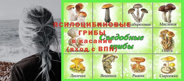 бошки Алзамай