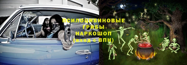 бошки Алзамай