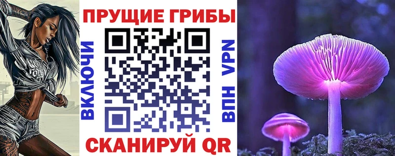 маркетплейс наркотические препараты  Шебекино  Псилоцибиновые грибы GOLDEN TEACHER  продажа наркотиков 