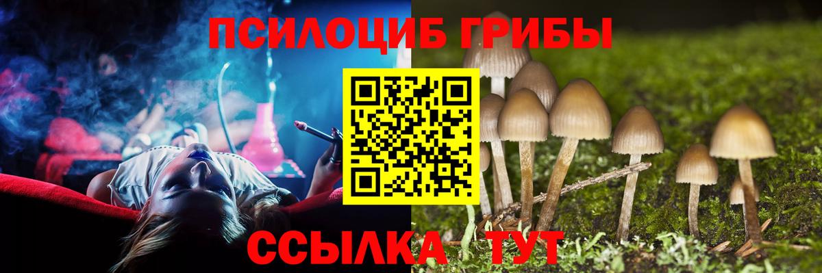 Шебекино  Псилоцибиновые грибы Magic Shrooms  Вход с VPN 